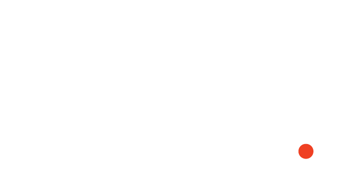 The salmon